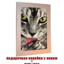 Модульная стеклянная интерьерная картина / Фотокартина на стекле / Серая кошка, 28x40 см. Декор для дома, подарок