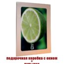 Картина модульная интерьерная лайм 28x40 Декор для дома, подарок