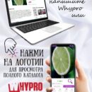 Картина модульная интерьерная лайм 28x40 Декор для дома, подарок