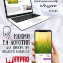 Модульная картина Ячменное поле Декор для дома, подарок
