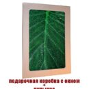 Модульная картина стеклянная интерьерная Декор для дома, подарок