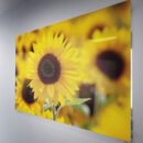 Модульная стеклянная интерьерная картина /Фотокартина на кухню /Летнее настроение /Цветы, 28x40 Декор для дома, подарок