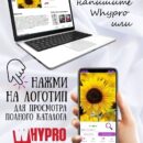 Модульная стеклянная интерьерная картина /Фотокартина на кухню /Летнее настроение /Цветы, 28x40 Декор для дома, подарок