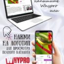 Модульная стеклянная интерьерная картина /Фотокартина на кухню /Летнее настроение /Цветы, 28x40 Декор для дома, подарок